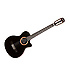 CE Coupe Ebony Epiphone