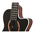 CE Coupe Ebony Epiphone