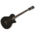 SST Coupe Ebony Epiphone
