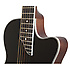 SST Coupe Ebony Epiphone