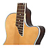 SST Coupe Natural Epiphone