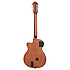 SST Coupe Natural Epiphone
