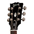 SG Standard 2019 Ebony Gibson