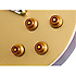 Les Paul STANDARD Metallic Gold Top Epiphone