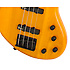 Toby Deluxe-IV Bass Translucent Amber Satin Epiphone