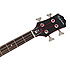 Embassy PRO Bass Dark Cherry Epiphone