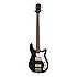 Embassy PRO Bass Ebony Epiphone