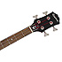 Embassy PRO Bass Ebony Epiphone