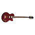 Allen Woody Ltd Ed. RumbleKAT Wine Red Epiphone