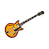 Ltd Ed Johnny A. Signature Outfit Sunset Glow Gloss + étui Epiphone