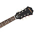Ltd Ed James Bay Century Cherry Gloss + étui Epiphone