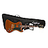 Ltd Ed Lee Malia RD Custom Artisan Walnut + housse Epiphone