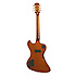 Ltd Ed Lee Malia RD Custom Artisan Walnut + housse Epiphone