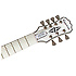 Ltd Ed Matt Heaf00y Snofall Les Paul Custom7 Alpine White  housse Epiphone