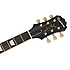 Ltd Ed Slash Les Paul Standard PRO Anaconda Burst Epiphone