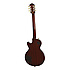Ltd Ed Slash Les Paul Standard PRO Anaconda Burst Epiphone