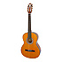 PRO-1 Classic Antique Natural Epiphone