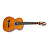 PRO-1 Spanish Classic Antique Natural Epiphone
