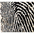 CP118 X-One Fingerprint médium Schlagwerk