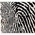 CP107 X-One Fingerprint Schlagwerk