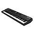 FORTE Kurzweil