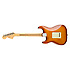 American Performer Stratocaster Honey Burst Fender