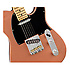 American Performer Telecaster Penny Fender