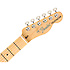 American Performer Telecaster Penny Fender