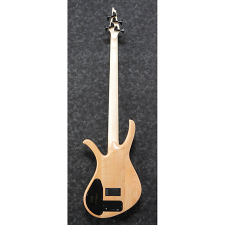 AFR4FMP-NTF Natural Flat + housse Ibanez