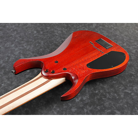 RGIR9FME-FDF Faded Demin Burst Flat Ibanez
