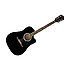 FA-125CE Black Fender