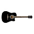 FA-125CE Black Fender