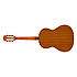 CN-60S NAT Fender