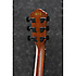 AEWC32FM-RSF Red Sunset Fade Ibanez