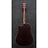 AW80CE-BLG Brown Ale Gradation Ibanez