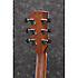 AW80CE-BLG Brown Ale Gradation Ibanez