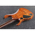RGD71AL-ANB Antique Brown Stained Burst Ibanez
