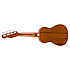 Zuma Classic Concert Uke Burgundy Mist Fender