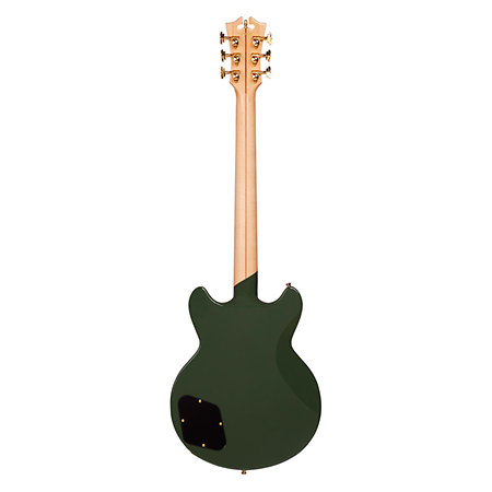 Deluxe Brighton Hunter Green D'Angelico