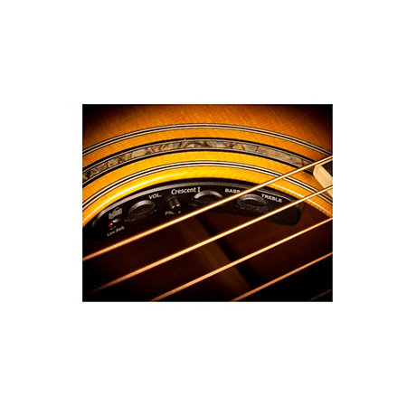 TW 145 SS CE Tanglewood