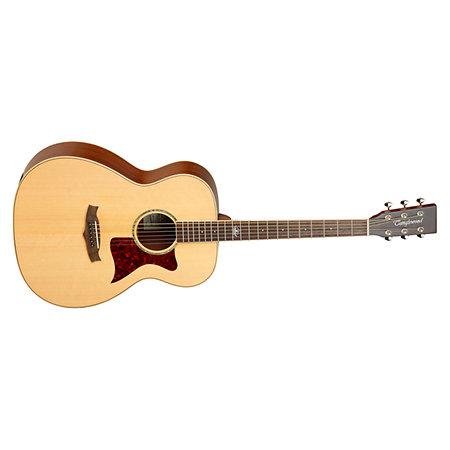 Tanglewood TW170 SS