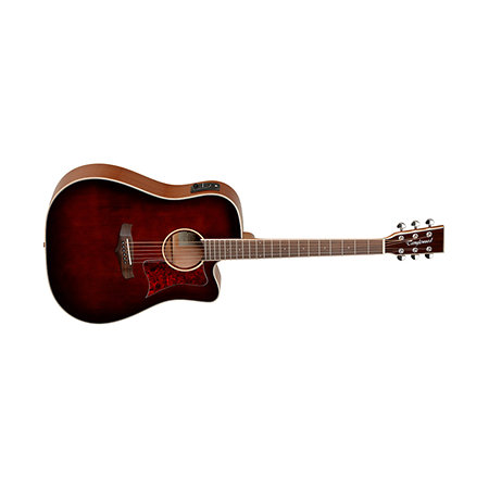 Tanglewood TW5WB
