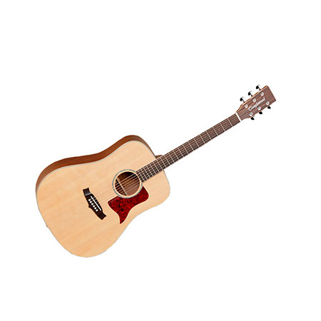 TW X15NS + étui Tanglewood