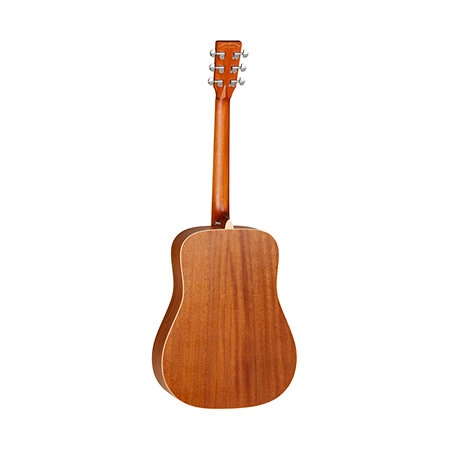 TW X15NS + étui Tanglewood