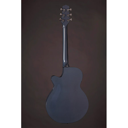 LTD 2019-MOON + étui Takamine