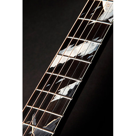 LTD 2019-MOON + étui Takamine