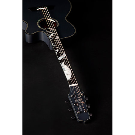 LTD 2019-MOON + étui Takamine
