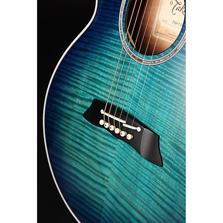 TSP 178AC-SBB Thinline + étui Takamine