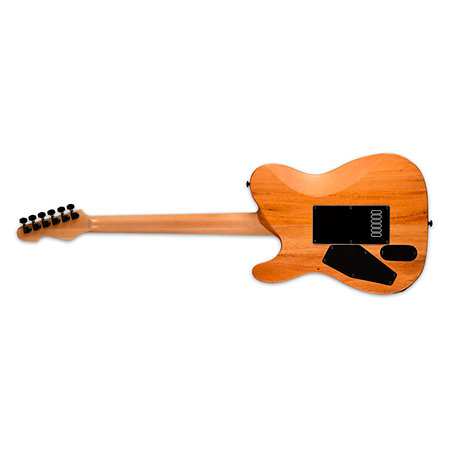 TE 1000 ET FM Black Natural Burst LTD