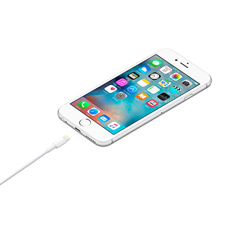 Câble Lightning vers USB (1 m) Apple
